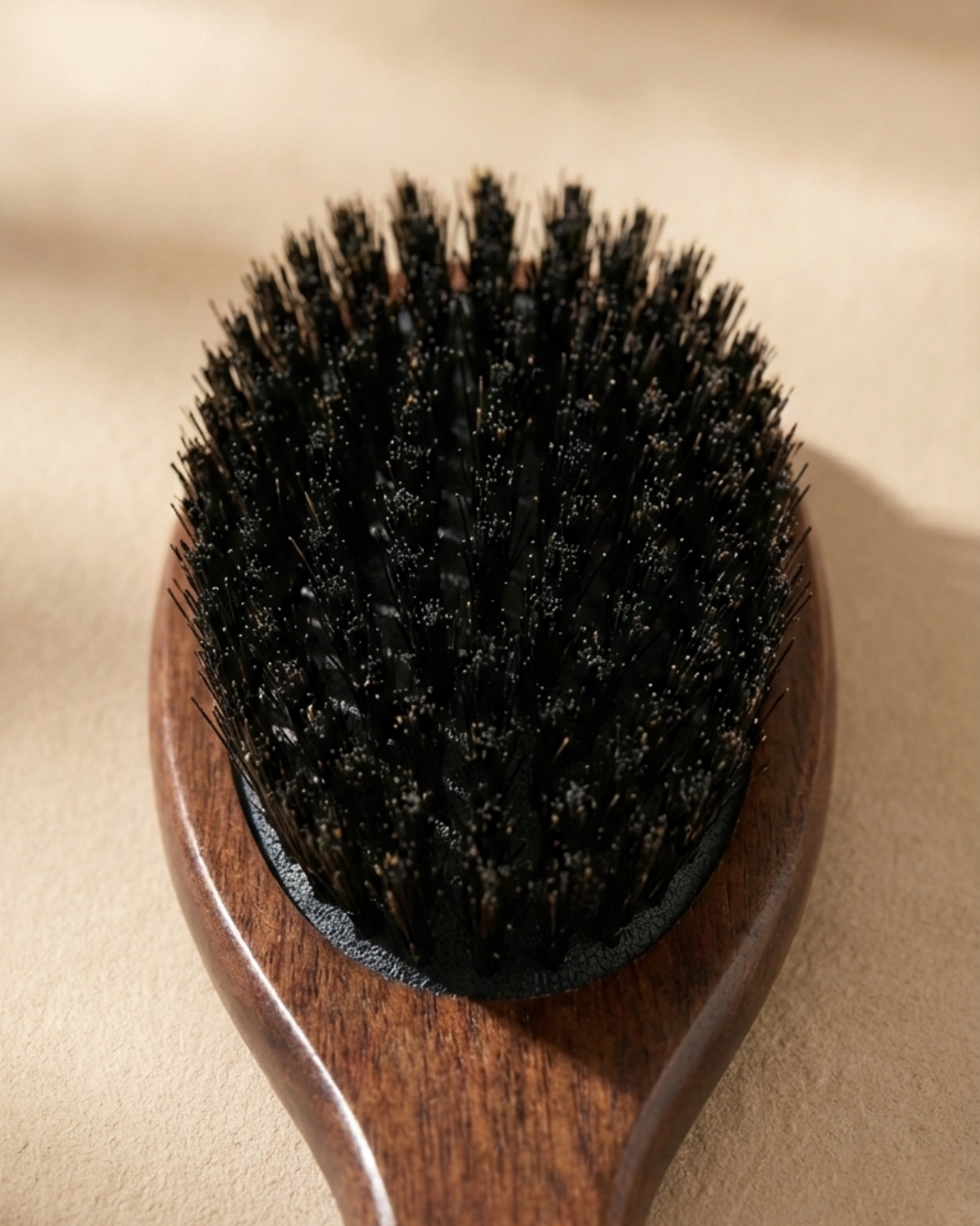 BROSSE EN POILS DE SANGLIER