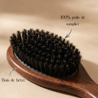 BROSSE EN POILS DE SANGLIER